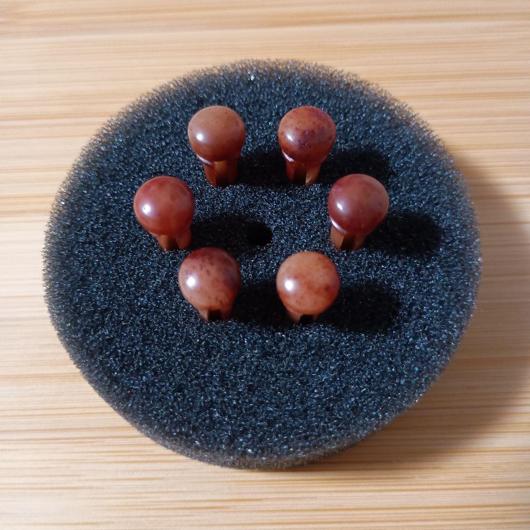 Camel Bone Bridge Pins Brown Pattern