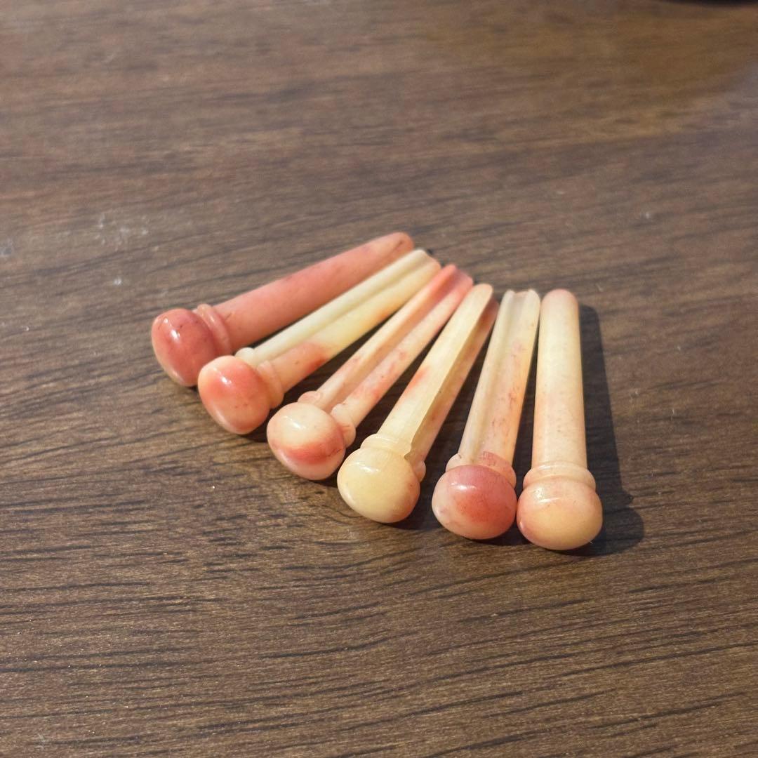 New Camel Bone Bridge Pins