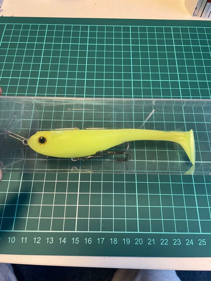 Ultra Rare Charmy Raygon Fish Magnet Chart
