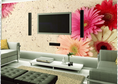 TV Background