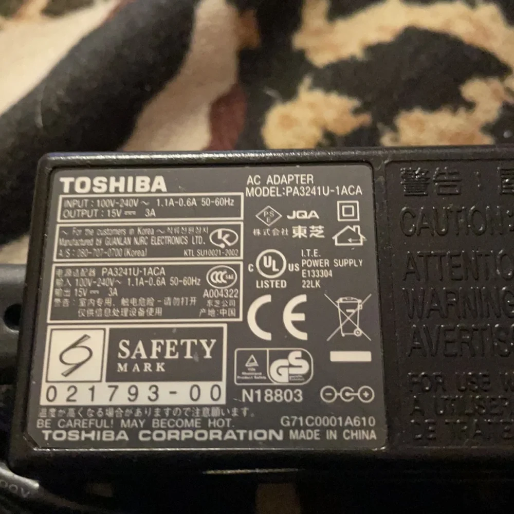 Toshiba input 100v