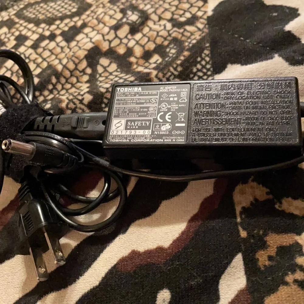 Toshiba input 100v
