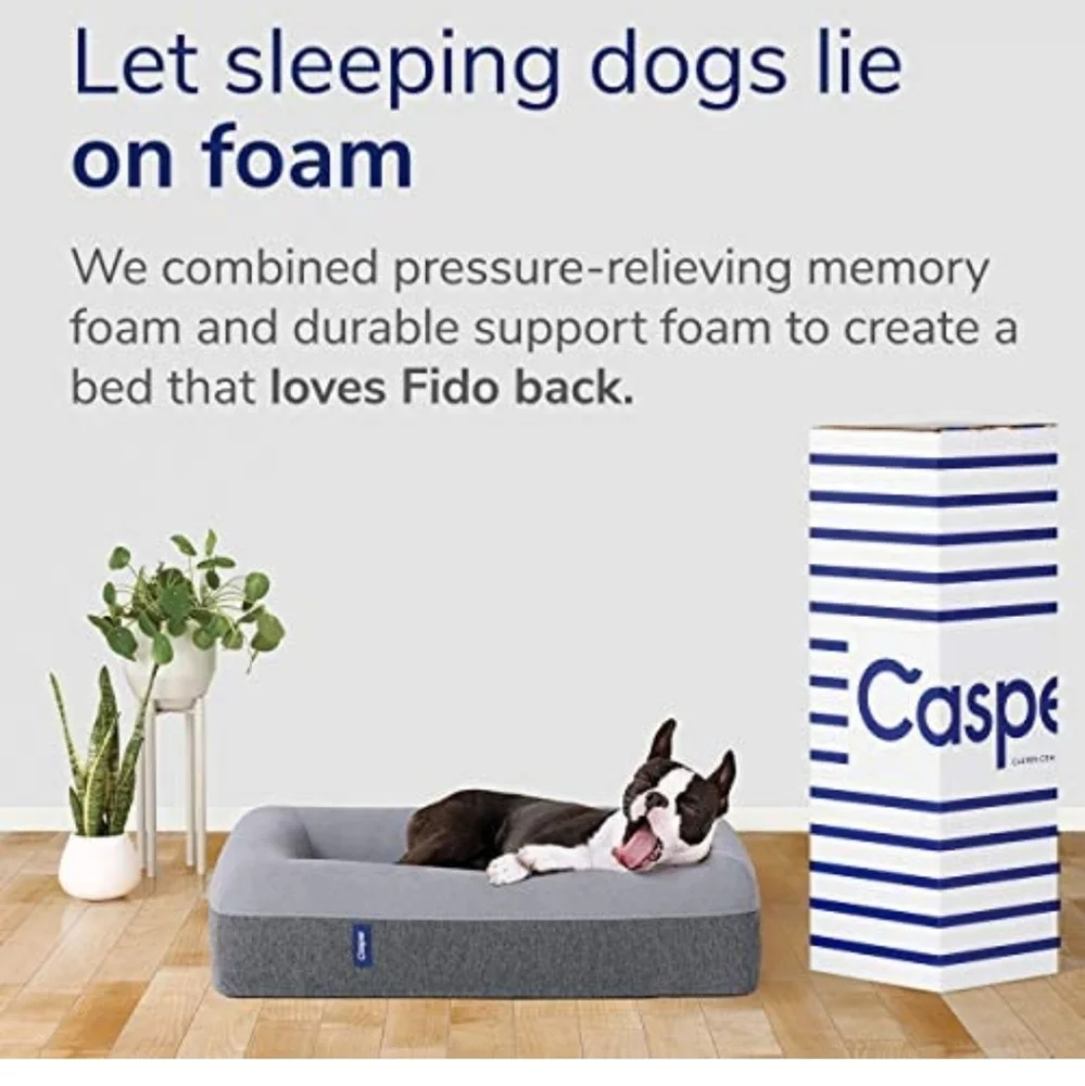 N/A casper dog