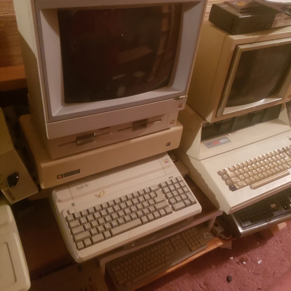 Amiga have about