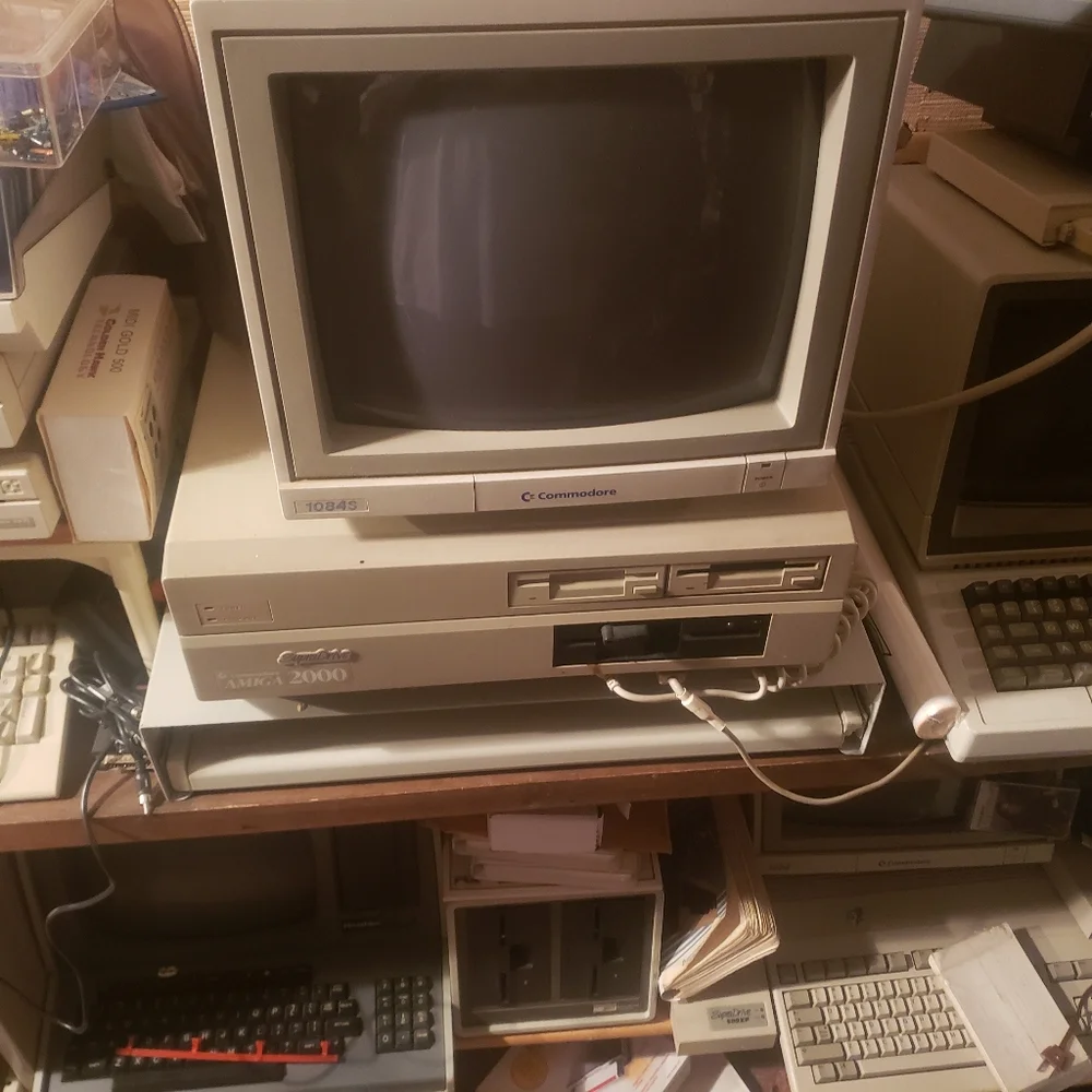 Amiga have about