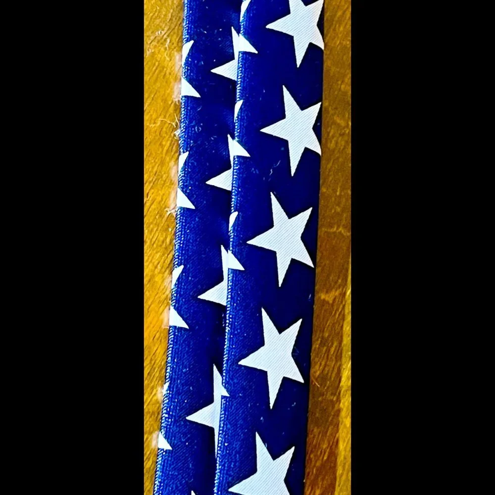 ⭐️HP⭐️VTG▪️RENE CHAGAL▪️Lot of 2 Handmade Patriotic American Flag Neckties
