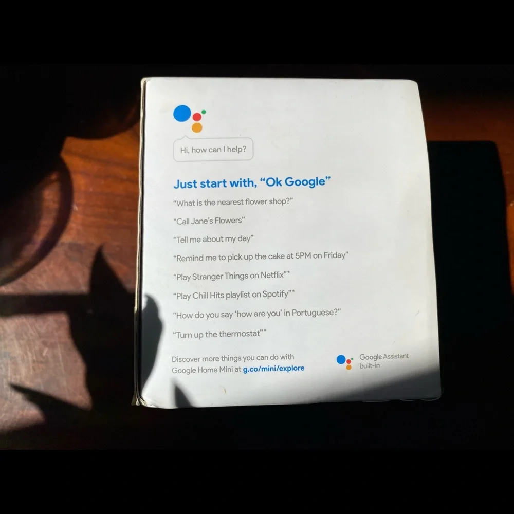google mini i’m
