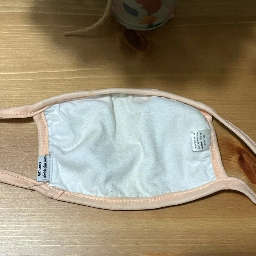 Disney cinderella facemask