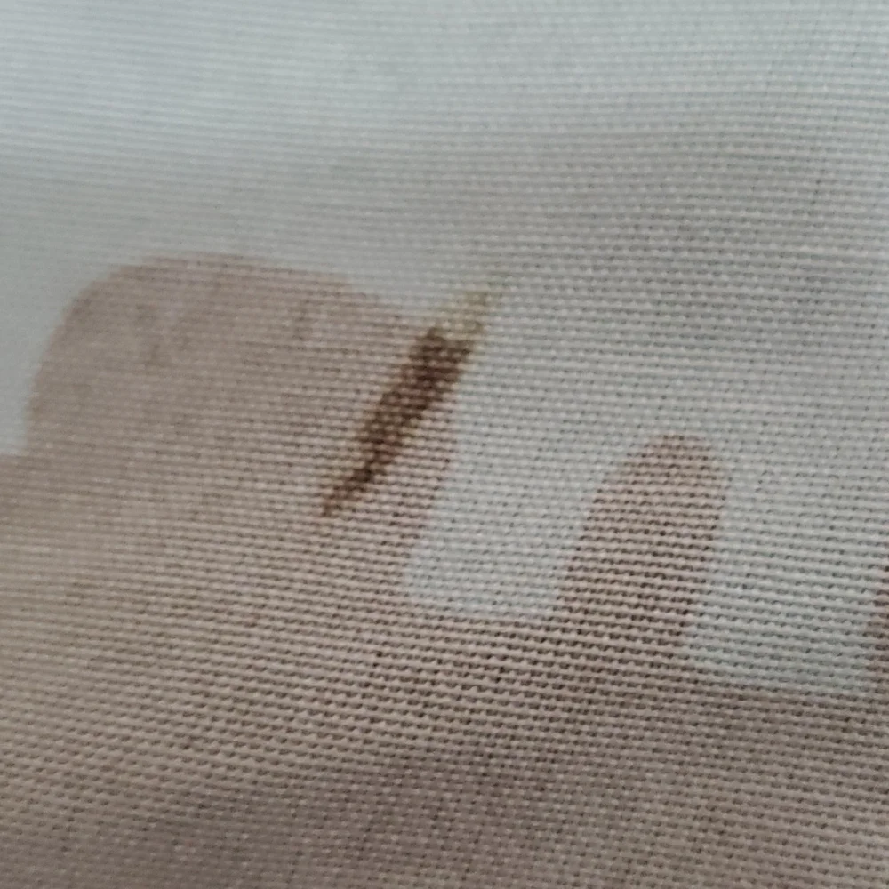 unknown amimal print