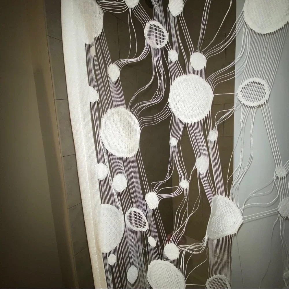 N/A curtain pictured rare
