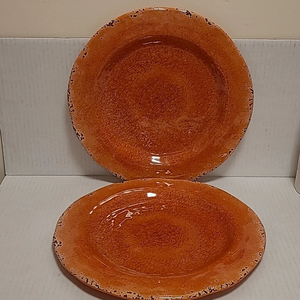 NWT Pair of Pier 1 Carmelo Melamine Plates