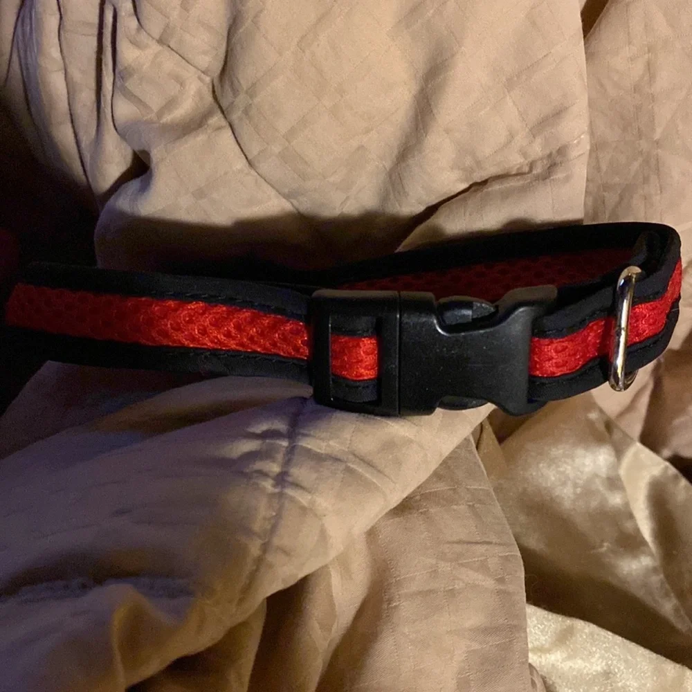 NWOT red and black adjustable collar large 18” to 22”.