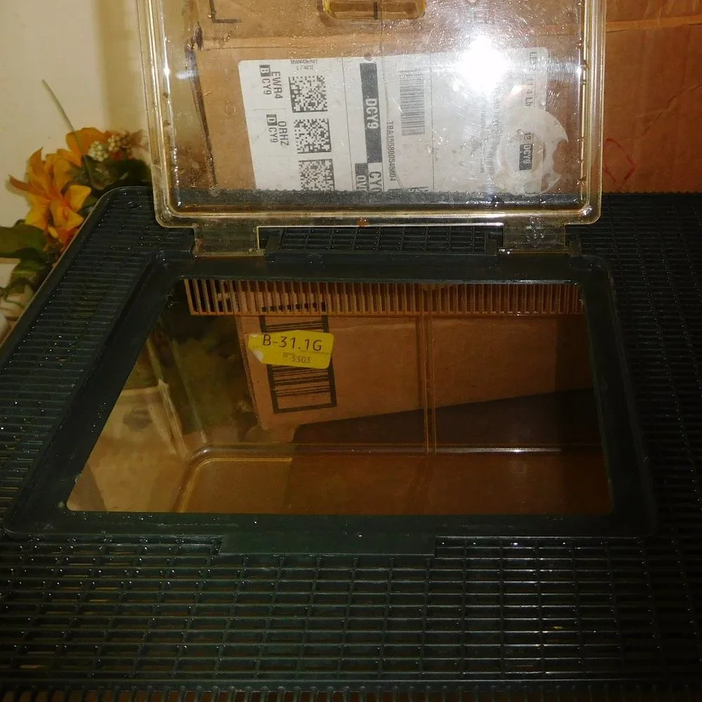 N/A large terrarium