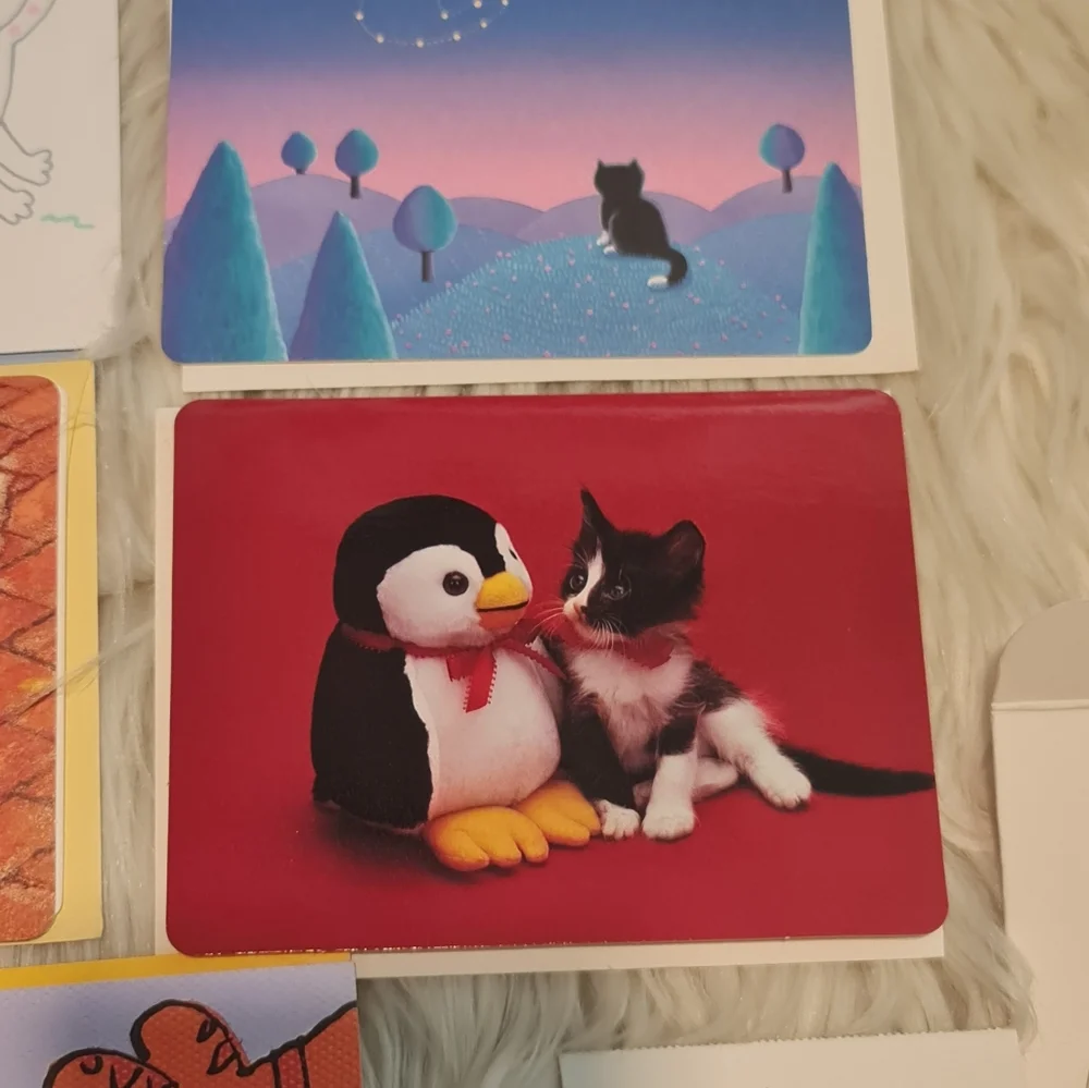 Hallmark assorted cat