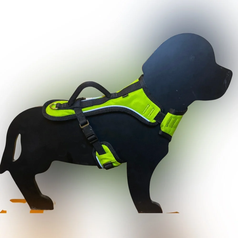 PetSafe size details