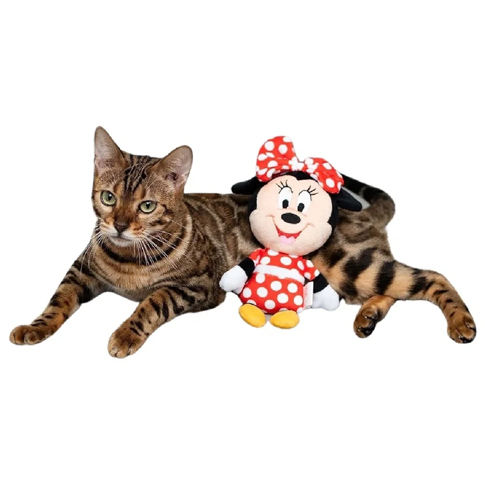 Disney brand new