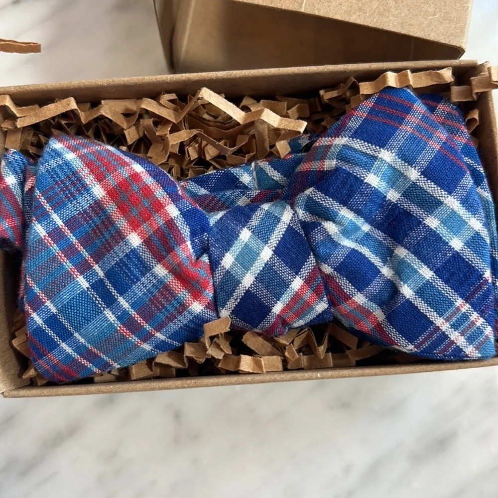 New Boys Tadpole and Lily Red and Blue Plaid Bow tie