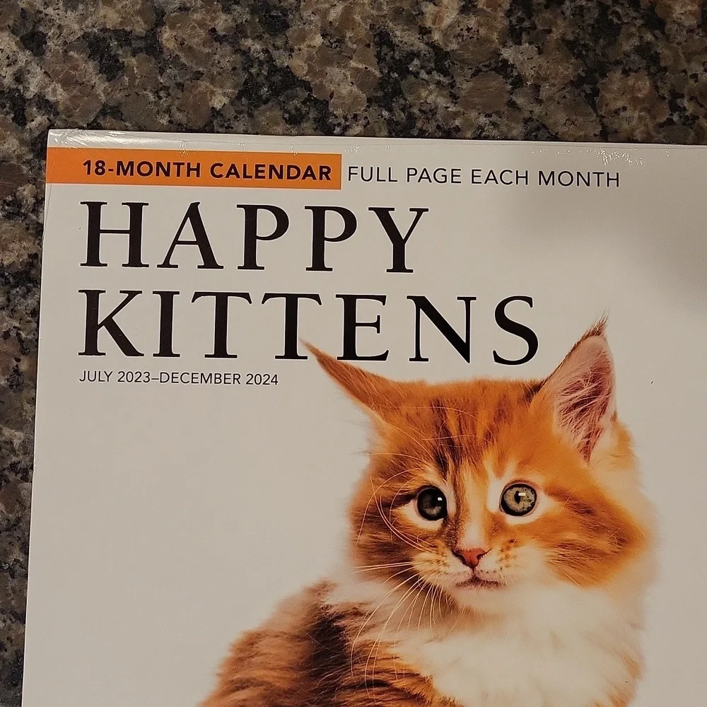 plato happy kittens