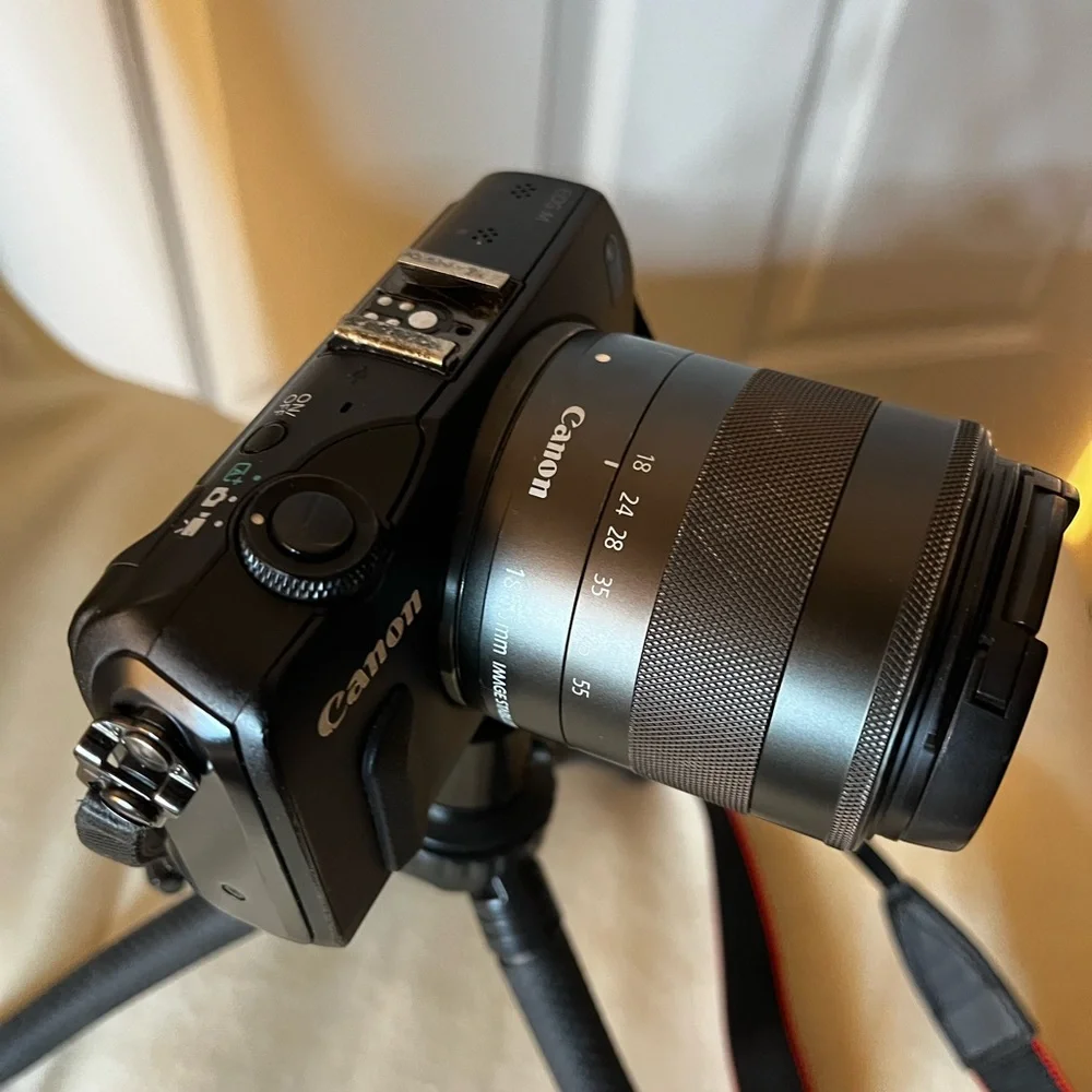 Canon memory users stand