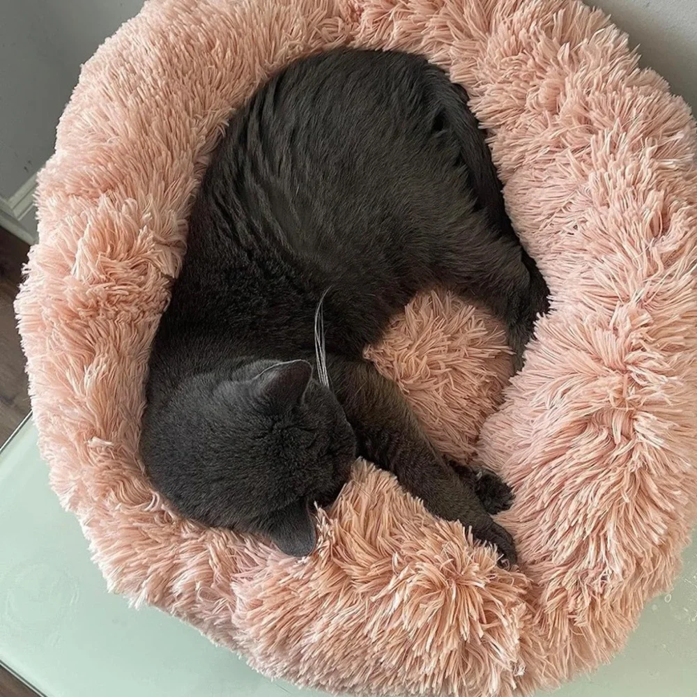 N/A calming cat