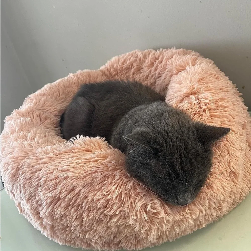 N/A calming cat