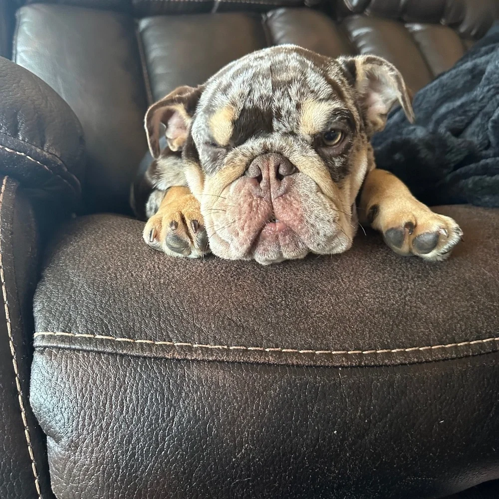 Sale make offer