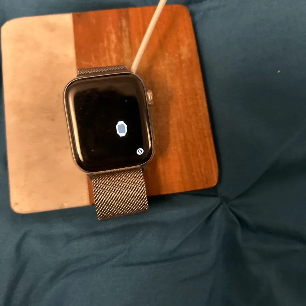 Apple Watch Series 9, Sandless steel