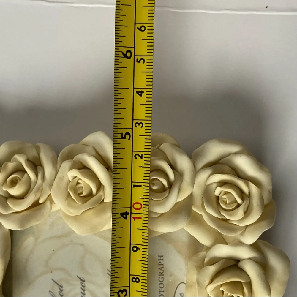 Amscan rose picture