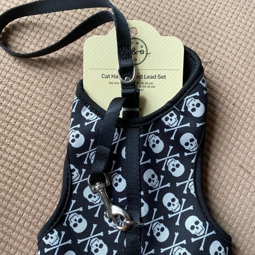 Cat harness and lead set