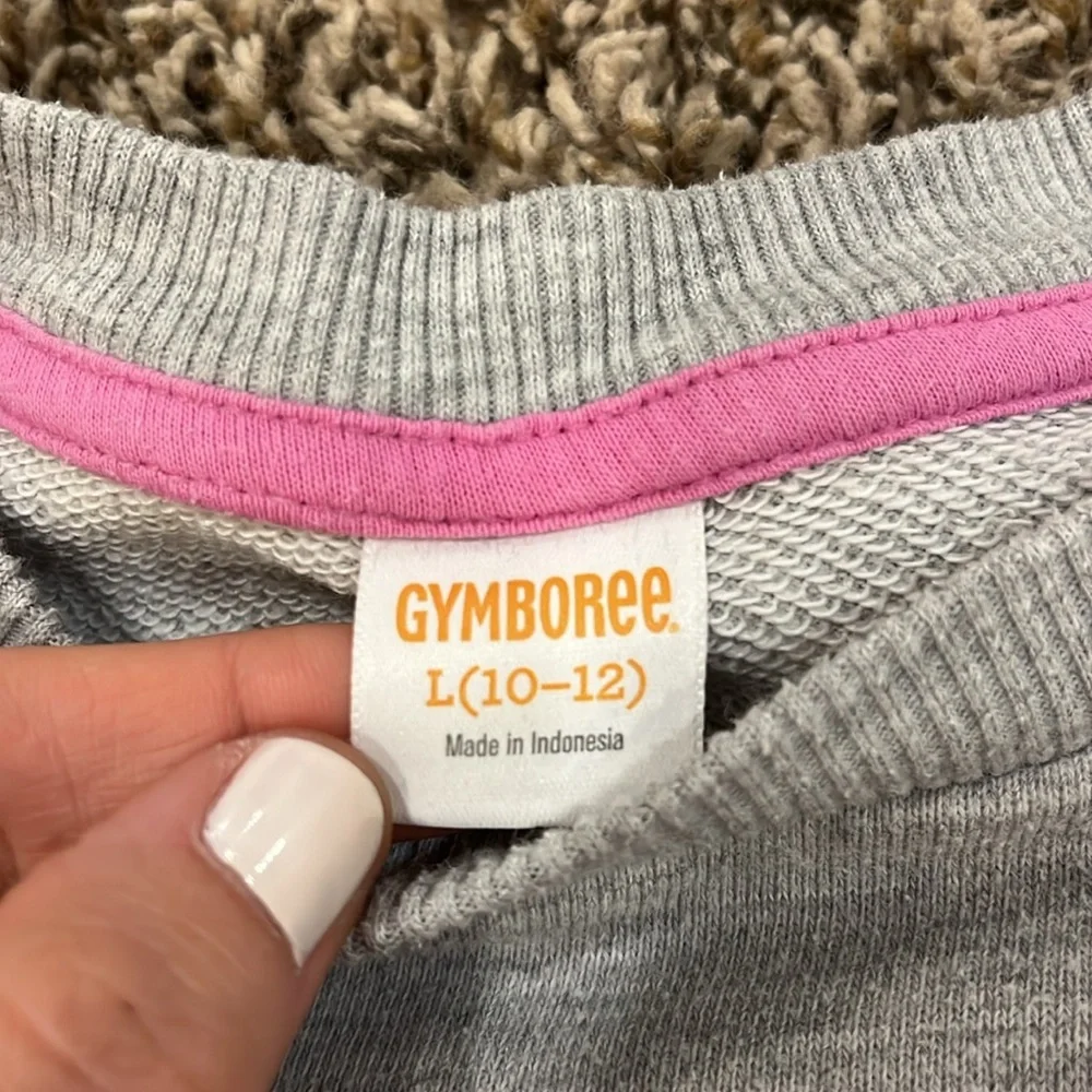 GYMBOREE sweatshirt 🍕