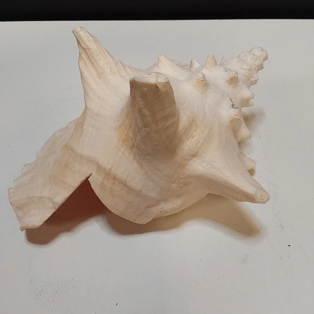 Natural large pink