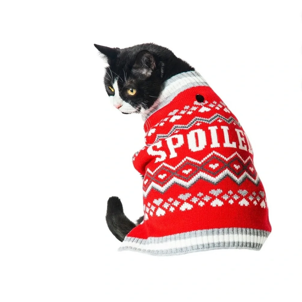 Dog/cat/pet sweater Spoiled graphic pullover sleeveless red. M.17in back length