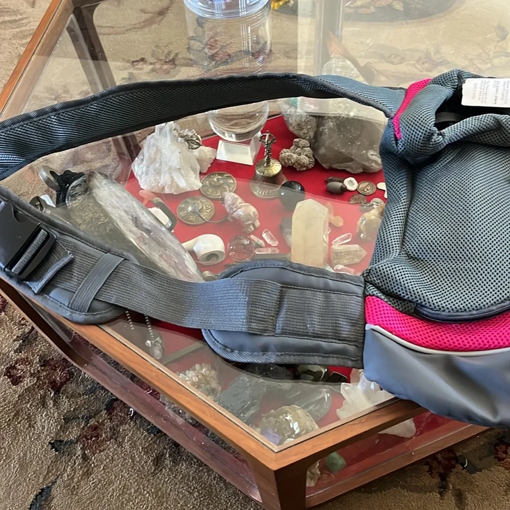 yudodo dog bag