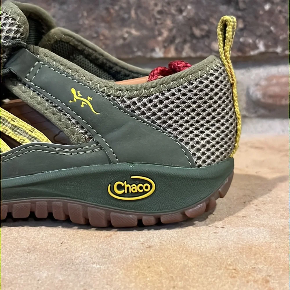Chaco outcross avocado
