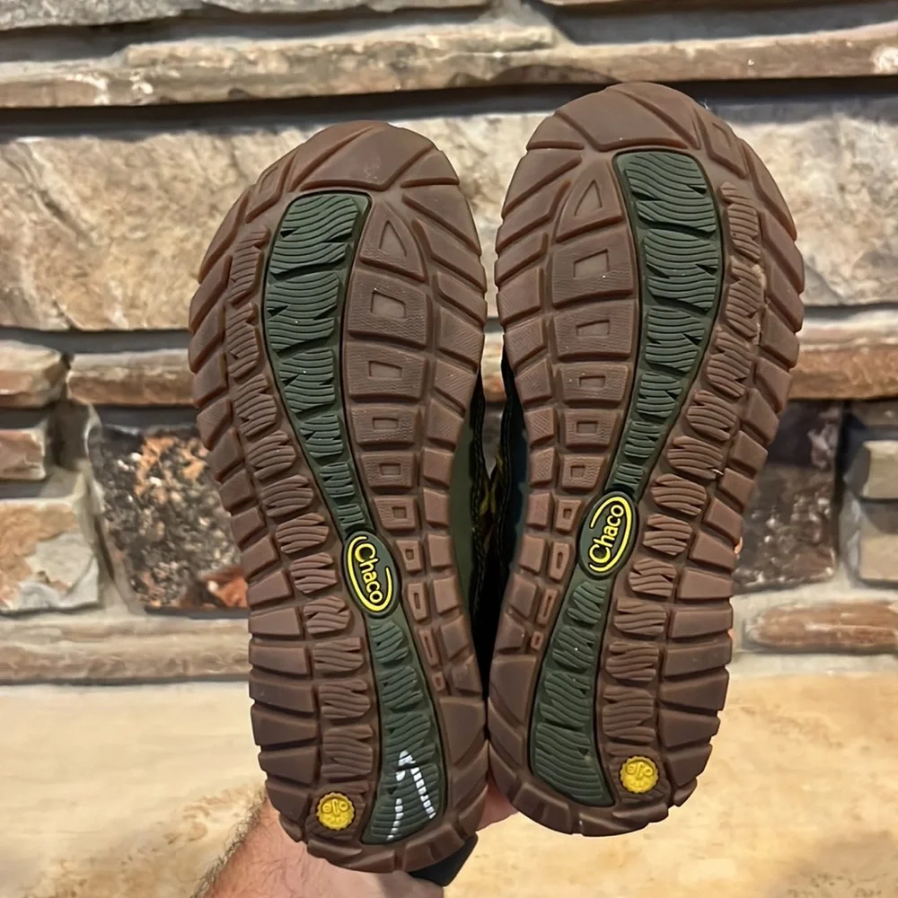Chaco outcross avocado