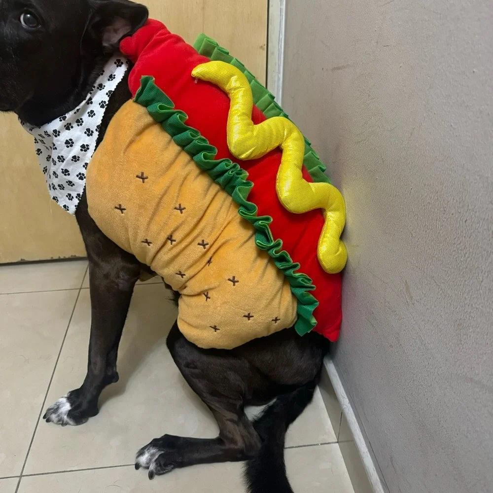 Halloween Hot Dog Dog Costume