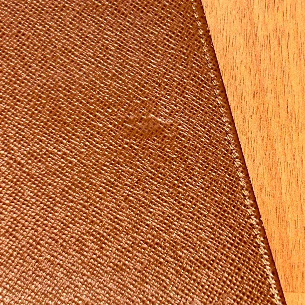 Louis Vuitton authentic louis