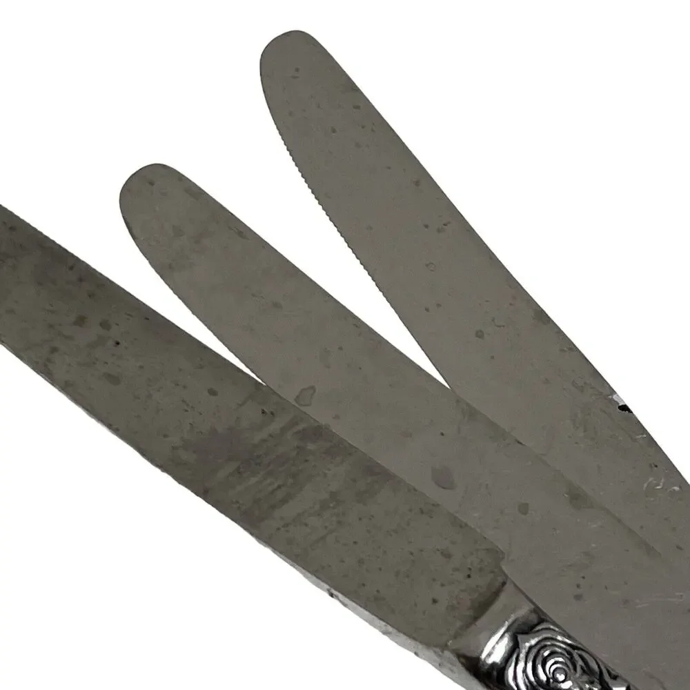 Stanley Roberts Stainless Lady JoAnn 1 Dinner Knife 9 1/8