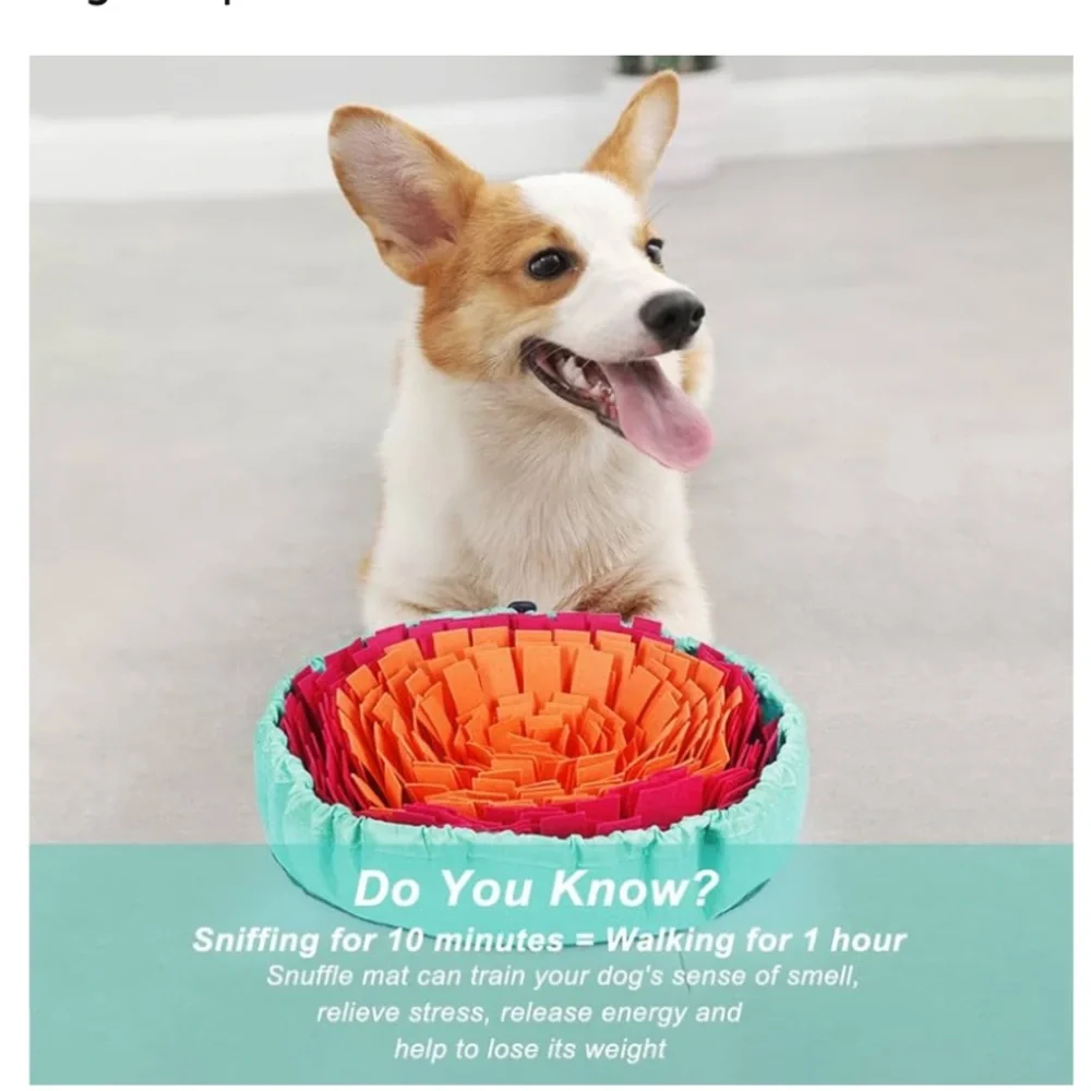 Snuffle Mat for Dogs