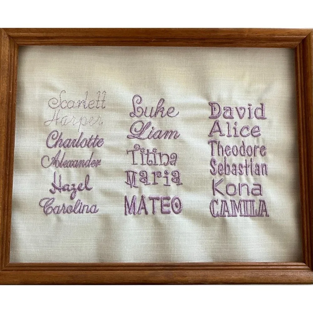 NWT Custom embroidered paw pet blanket