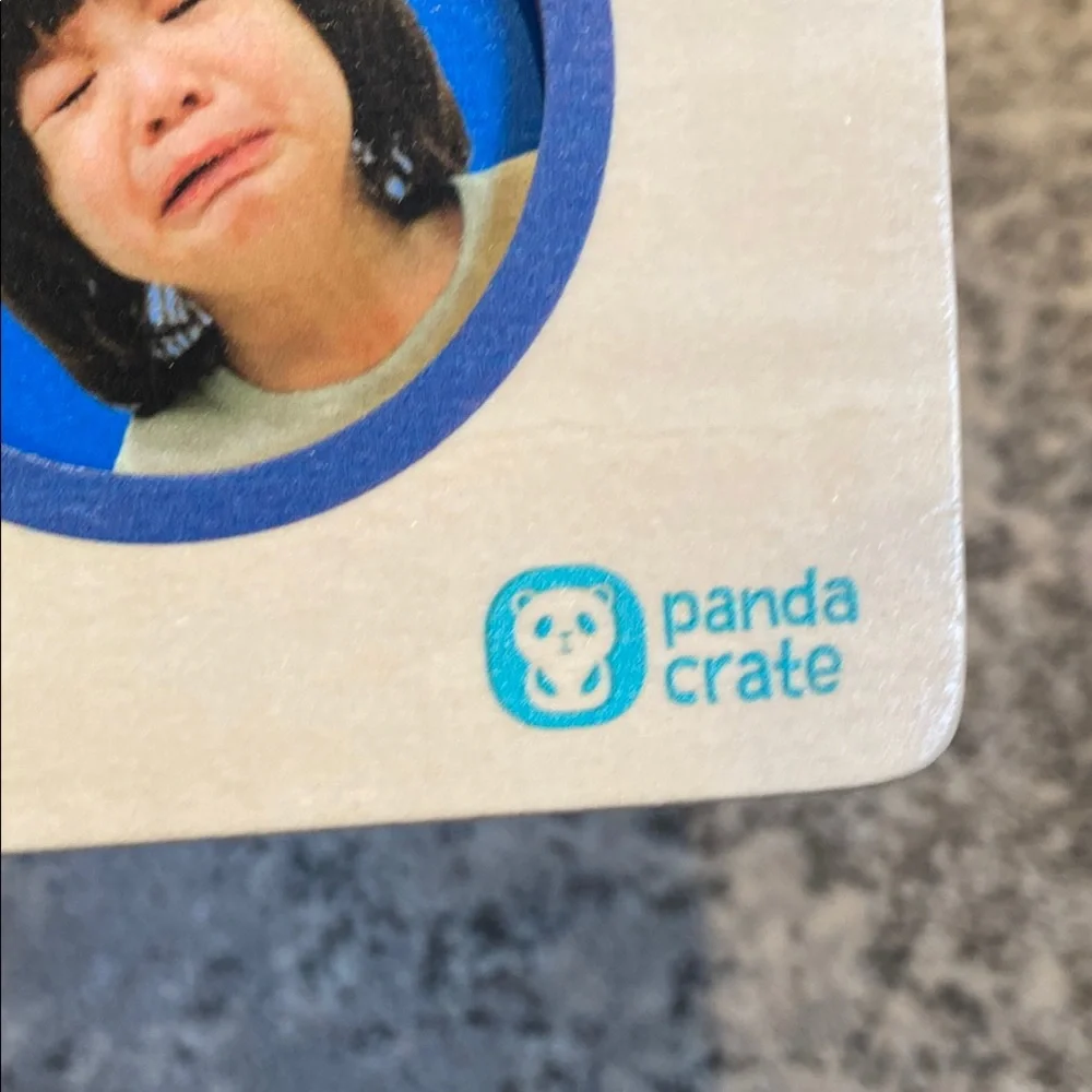 Kiwi Co kiwico panda