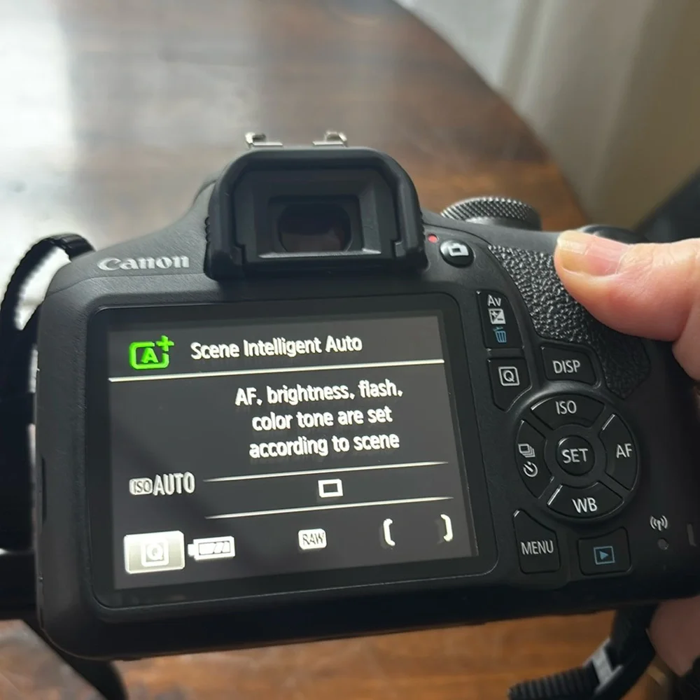 Canon eos rebel
