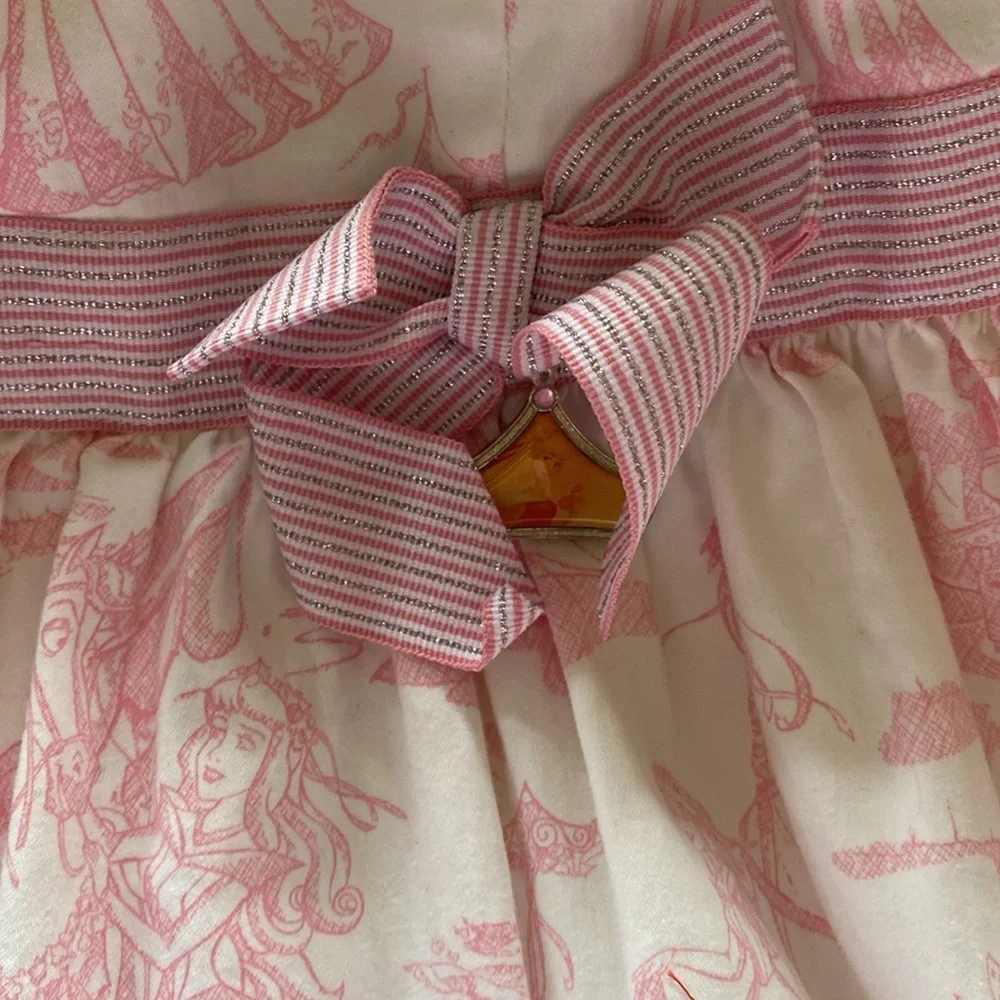 Disney Princess aurora dress