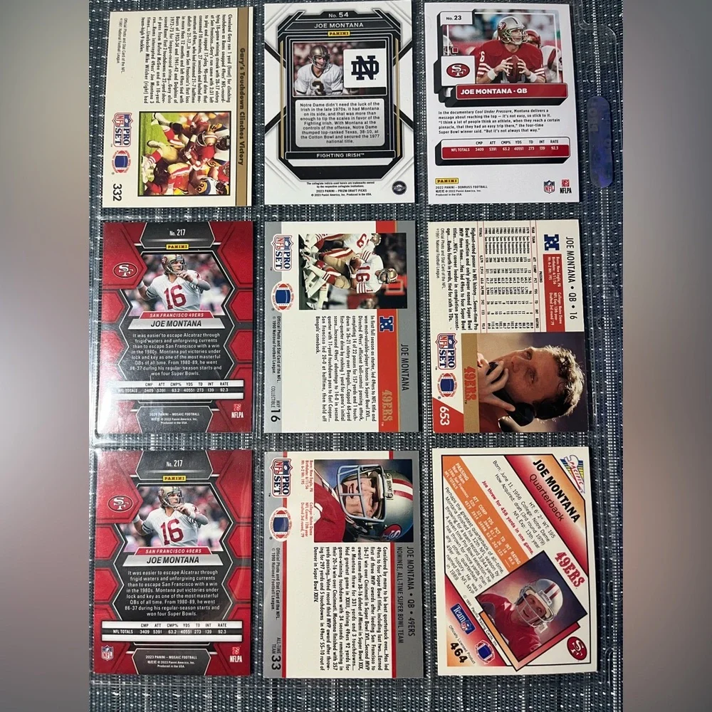 Panini 🏈 joe