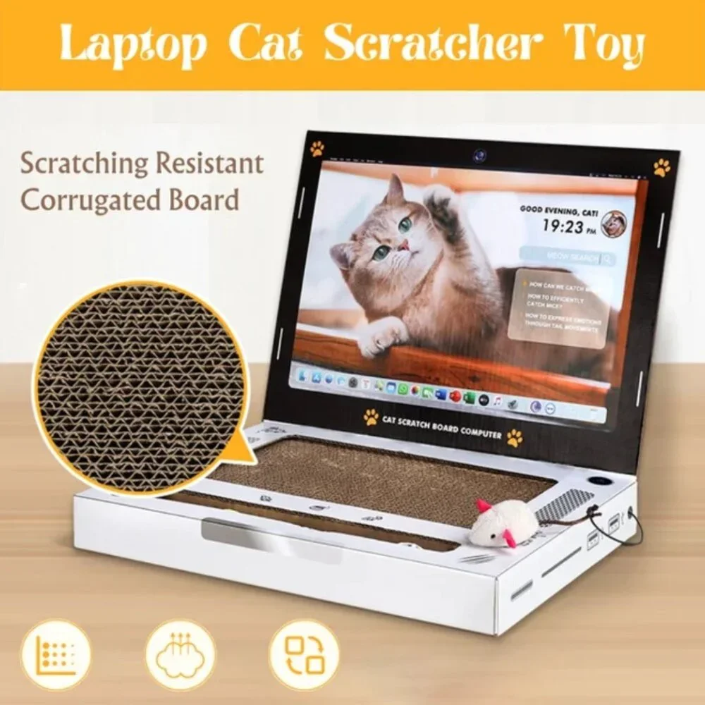 N/A cat scratch