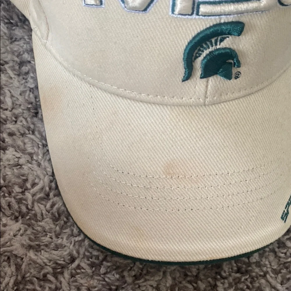 collegiate licensed product michigan state