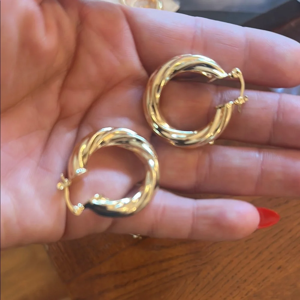 Trendy Gold Hoop Earrings Stainless steel 18k gold plated