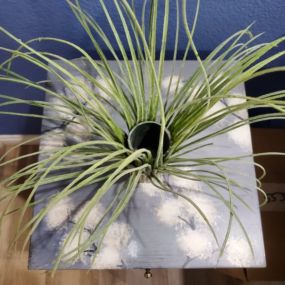 None rare find