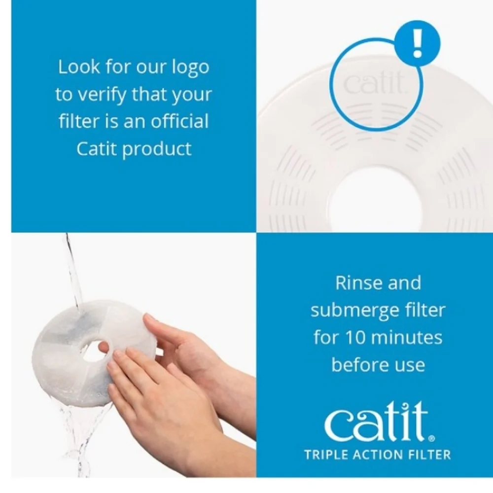 Catit about this