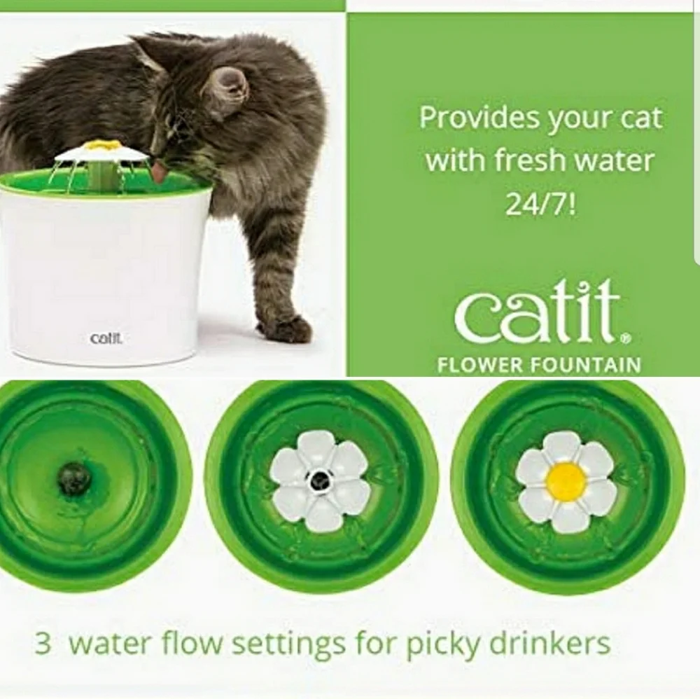Catit about this